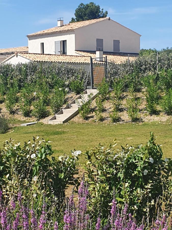 Onze Villa In Provence, Mont Ventoux, New Luxury Villa, Private Pool, Stunning Views, Outdoor Kitchen, Big Green Egg Малосен Екстер'єр фото